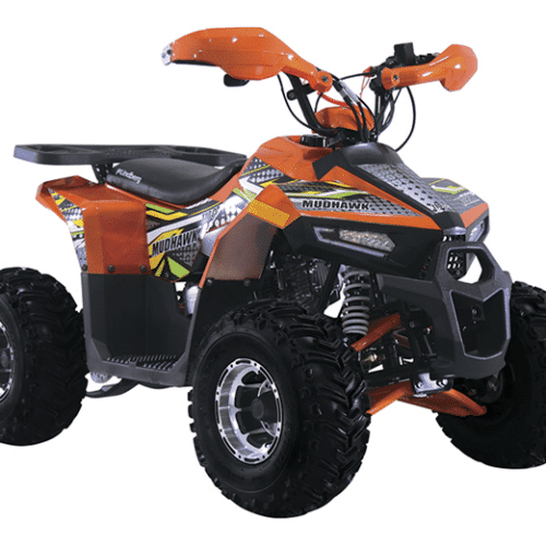 ATV Mudhawk 110cc - Image 2